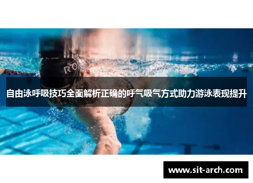 自由泳呼吸技巧全面解析正确的呼气吸气方式助力游泳表现提升
