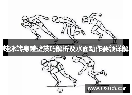 蛙泳转身蹬壁技巧解析及水面动作要领详解