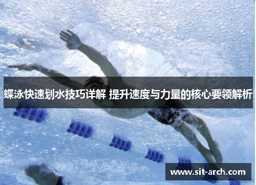 蝶泳快速划水技巧详解 提升速度与力量的核心要领解析