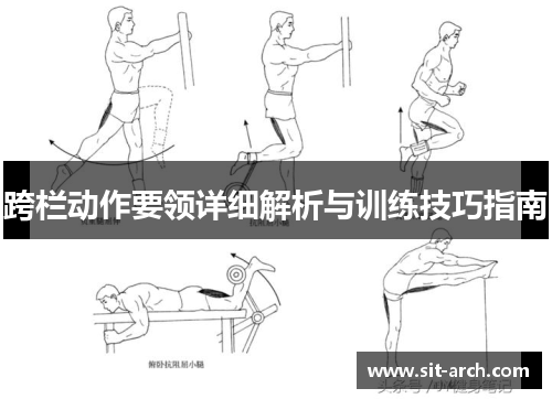 跨栏动作要领详细解析与训练技巧指南